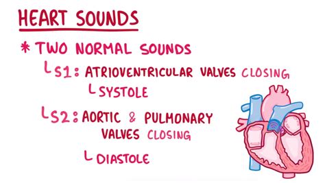 Osmosis Normal Heart Sounds 正常心音 Diagram Quizlet