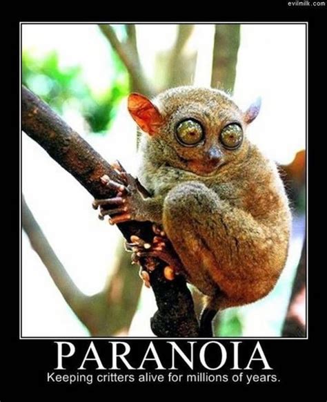 242 famous quotes about paranoia: 39 best images about PARANOIA on Pinterest | Mood rings ...