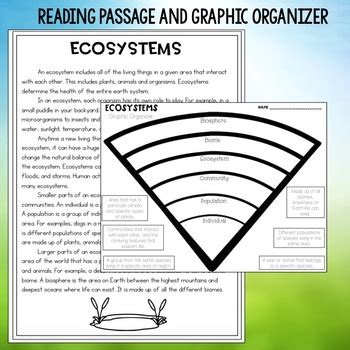 Instead of disposing of yard trimmings and kitchen scraps, you can compost them in your own backyard. Backyard Ecosystem Food Web - House Backyards