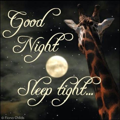 Good Night Sleep Tight Pictures Photos And Images For Facebook