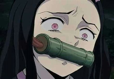 Kamado Nezuko ตัวละครจากการ์ตูน ภาพวาดน่ารัก ศิลปะ