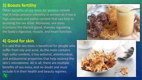 Ppt Benefits Of Sea Moss For Women Here Powerpoint Presentation Free