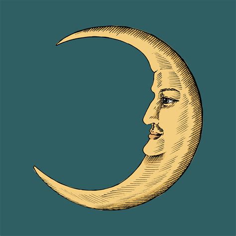 Crescent Moon Sketches