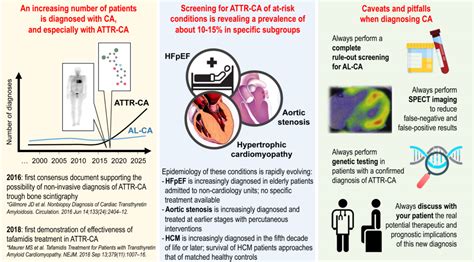 Cardiac Amyloidosis A Changing Epidemiology With Open Challenges
