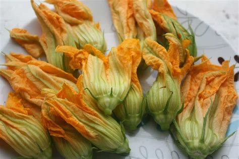 Courgettes) or baby marrow (cucurbita pepo) is a summer squash. Fried Zucchini Blossoms Stuffed with Cashew Ricotta | The ...