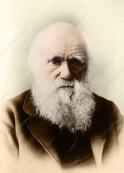 Charles Darwin English Naturalist Stock Image C0438653 Science