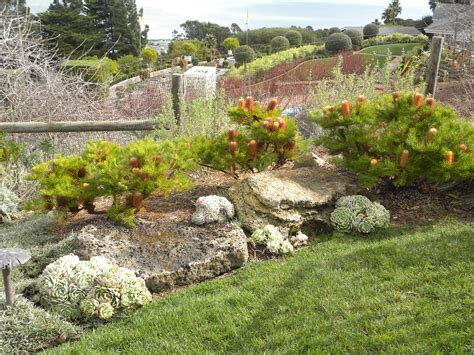 Plants or rocks can be used to landscape the space nearer the trunk (see above). How to choose boulders for any garden | The Human Footprint