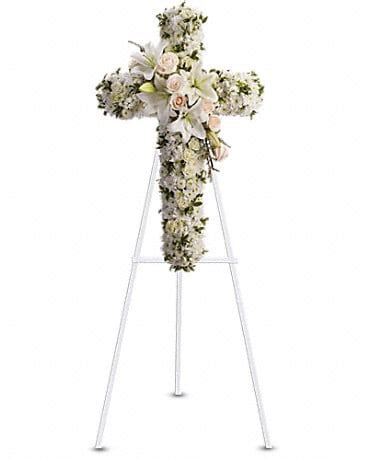 We did not find results for: Divine Light in Modesto CA - Modesto Exotic Flowers, Inc.