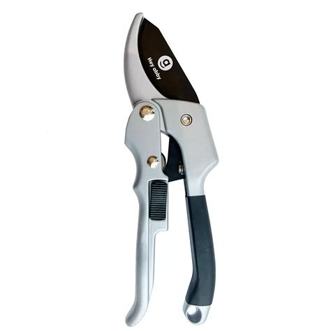 1 Professional Pruners Are Recommended For Everyone From Experienced