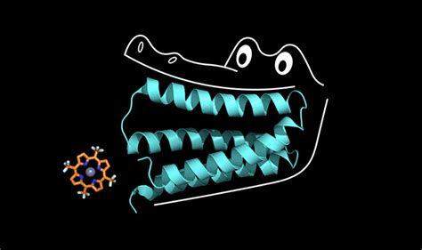 Lab Made Protein Chomps Co Factor Like A Big Ol Gator Research Blog