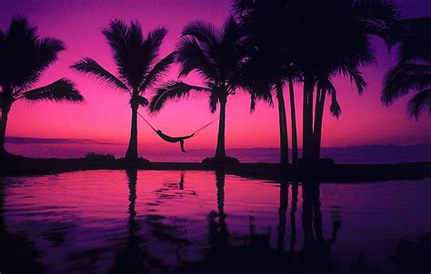 Pool Beach Man Mood Pleasure Palms Hammock Purple Anime Girl Purple Sunset Hd Wallpaper