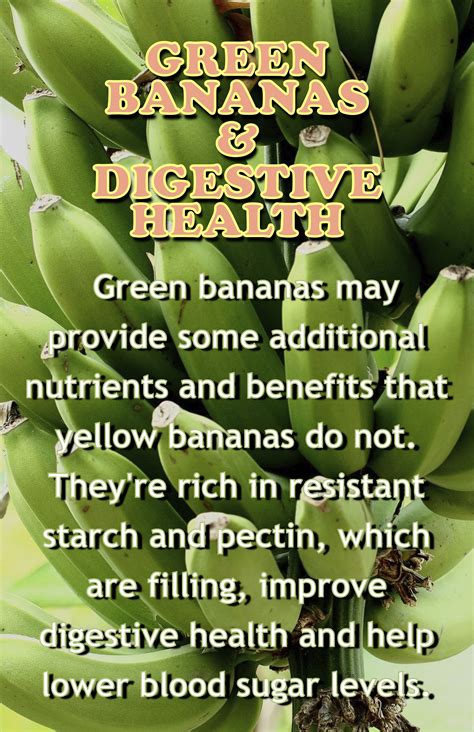 What Are The Benefits Of Eating Boiled Green Bananas