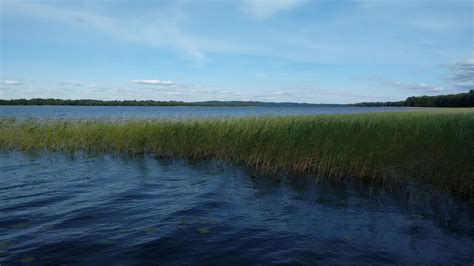 Stately forests, broad mires, meadows. Sauka Lake, Latvia | Natural landmarks, Nature, Lake