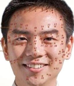 A mole in the centre of our forehead means the person isnt communicating well with people in authority, such as his parents or boss. Mole on Face Meaning, Lucky, Astrology and Reading for ...