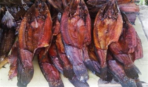 Mungkin anda sudah tahu, ikan gabus salah satu ikan air tawar dengan segudang manfaat untuk meski tak seramai budidaya ikan lele, namun cara budidaya ikan gabus juga menjadi peluang yang. 7 Oleh-Oleh Khas Palembang Wajib Dibeli!
