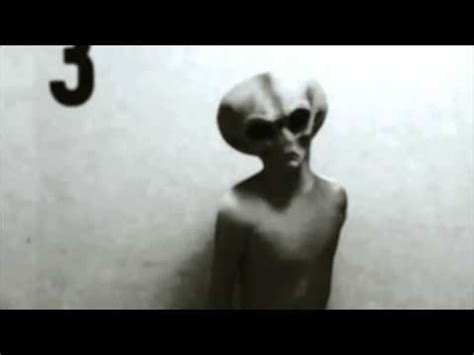 Real Grey Alien Footage Caught On Tape 2 YouTube