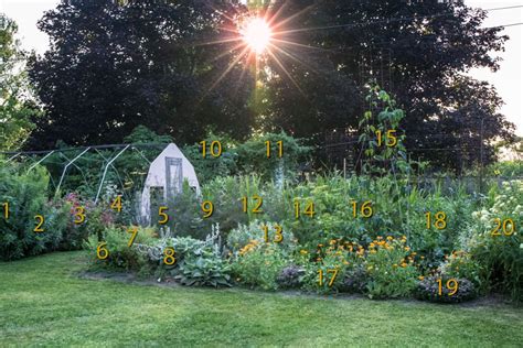 Free for commercial use no attribution required high quality images. How to Create a Monarch Waystation (With images ...