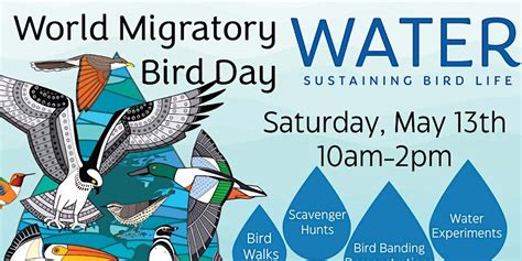 World Migratory Bird Day 2023 Saskatchewan Science Centre 2903