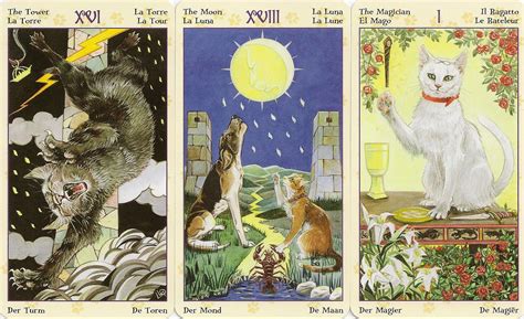 When you know what each tarot card means, you can understand the messages and advice they are trying to send you! Eno's Tarots: Tarot of Pagan Cats