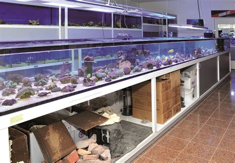 Aquarists are responsible for maintaining aquariums and caring for fish and other underwater animals. Aquaristik Center Ost, München__Zuverlässigkeit ...