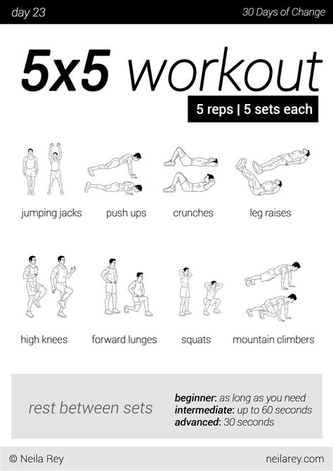 30 Day Workout Plan For Beginners No Equipment For Build Muscle