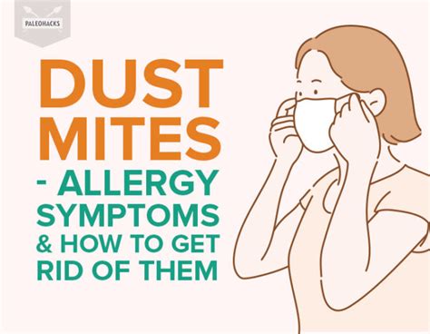 Dust Mites Allergy Symptoms And How To Get Rid Of Them Health