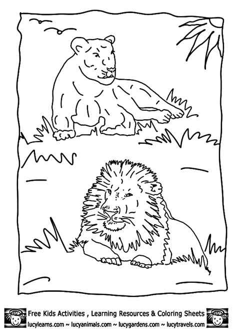 See more ideas about coloring pages, safari, coloring pictures. Lion Coloring Pages For Kids Printable - Coloring Home