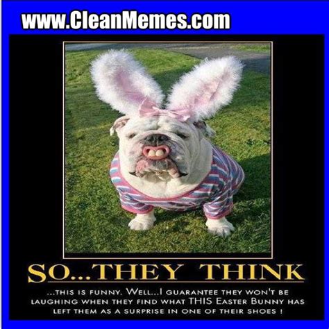 Gather The Prodigious Funny Animal Easter Memes Hilarious Pets Pictures