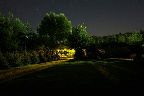 Night Grass Pictures Download Free Images On Unsplash