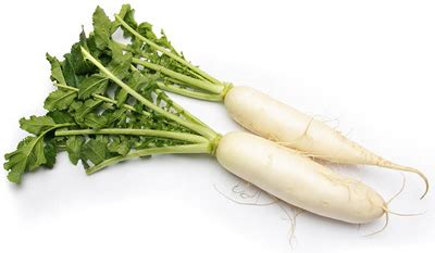 Agar makin nikmat, kamu bisa menambahkan berbagai bumbu kesukaanmu dan disertai. Lobak | Supplier sayur dan buah surabaya