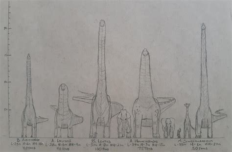 Biggest Sauropod Size Comparison 5 Species Representing The Largest