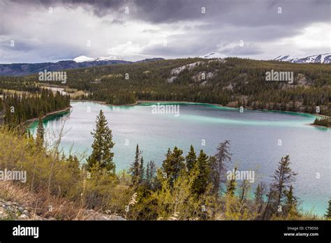 Emerald Lake In Yukon Territory Canada Stock Photo Alamy