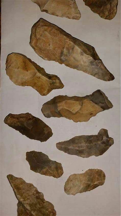 Pin By Stephanie Mcevers On Indian Arrowheads And Artifacts Native