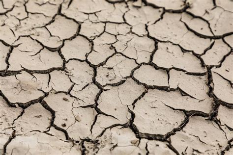 Dry Soil Cracks Desert Ground Drought Stock Photo Image Of Czech