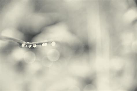 Wallpaper Sunlight Water Rain Bokeh Freezing Pentax Mono Light