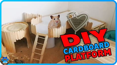 Diy Cardboard Platform For Small Pets Diy Hamster Toys