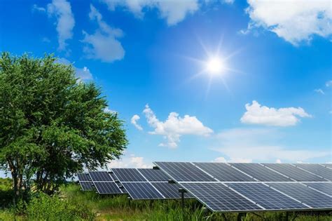 Premium Photo Photovoltaic Modules Solar Power Plant In Tree Green