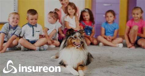 Check spelling or type a new query. Animal-Assisted Therapist Business Insurance Quotes | Insureon
