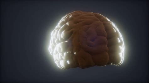 Loop Rotating Human Brain Animation Stock Footage Sbv 346478350