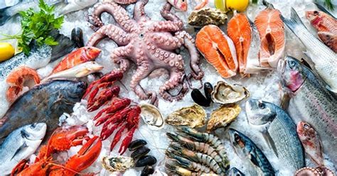 The Health Benefits Of Seafood What You Need To Know