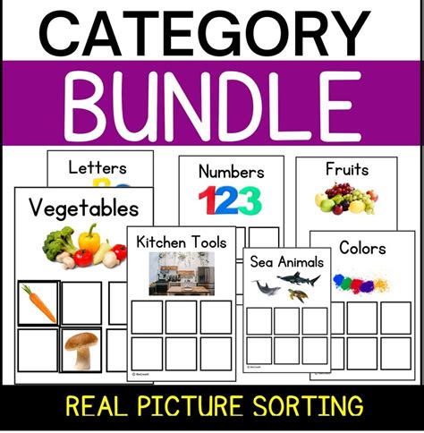Category Matching Activity Sorting Mat Early Education Etsy