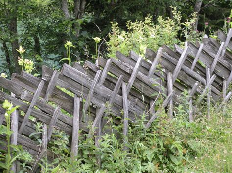 An Old Wooden Fence With Weeds Growing On It