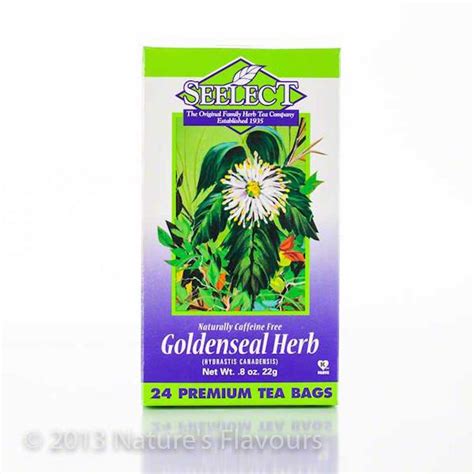 Goldenseal Herb Tea 24 Bags Natures Flavors