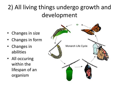 Ppt Characteristics Of Living Things Powerpoint Presentation Free