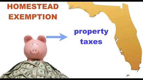 Requirements For The Florida Homestead Exemption Youtube