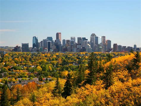Calgary Wallpapers Top Free Calgary Backgrounds Wallpaperaccess Vrogue