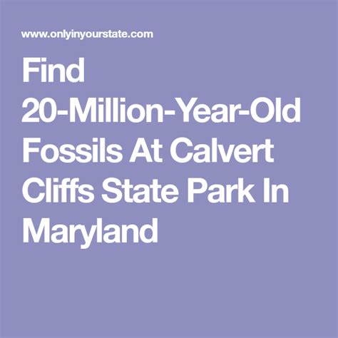 Find 20 Million Year Old Fossils At Calvert Cliffs State Park In Maryland Maryland Parks