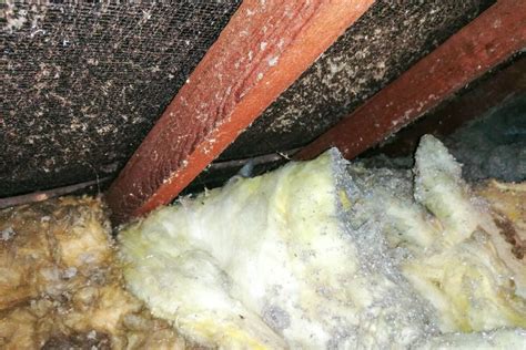 What Does Loose Fill Asbestos Look Like Chemcare