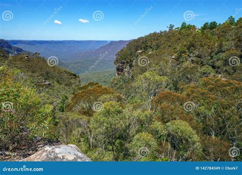 Hiking The Prince Henry Cliff Walk Blue Mountains Australia 46 Stock