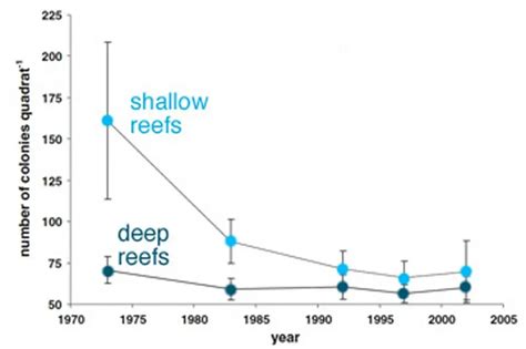 10 Major Threats To Coral Reefs Environment Buddy